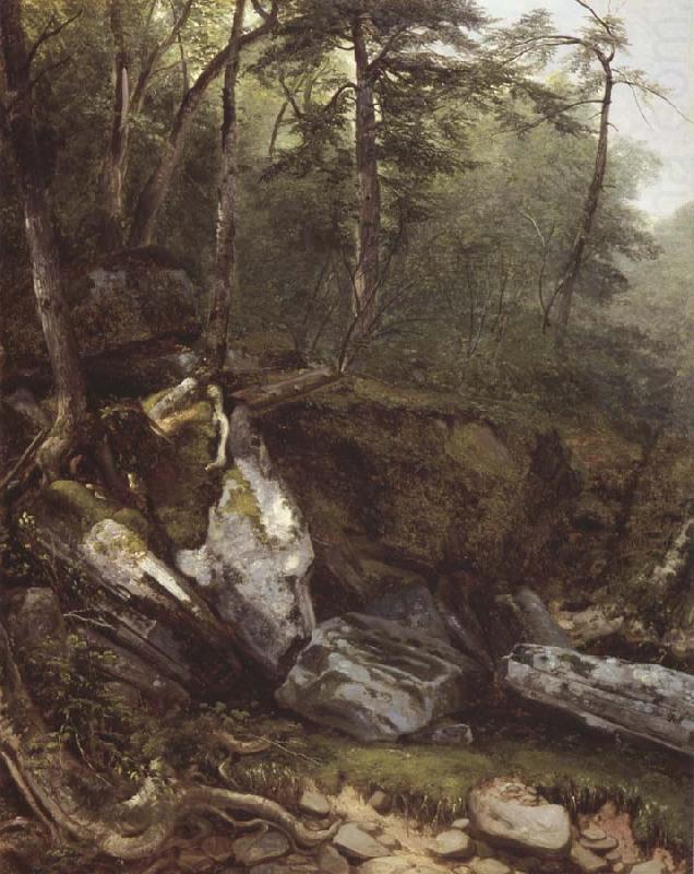 Study from Nature rocks and trees in the Catskills, Asher Brown Durand
